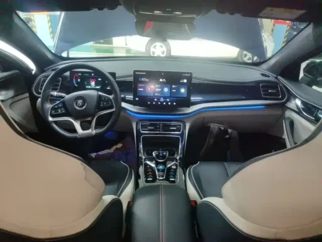 BYD Qin PLUS — Фото автомобиля 9