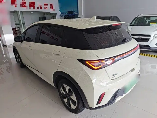 BYD Dolphin — Фото автомобиля 22