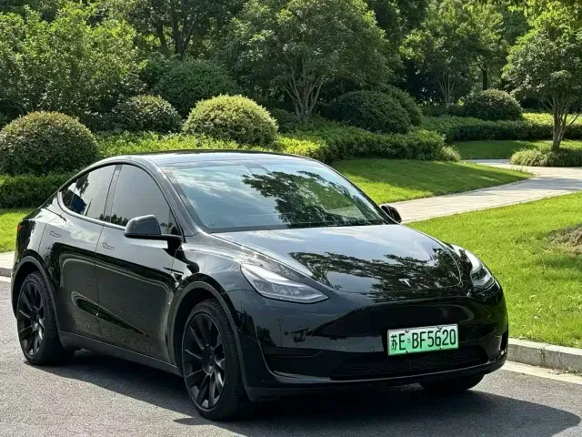 Tesla Model Y — Фото автомобиля 3