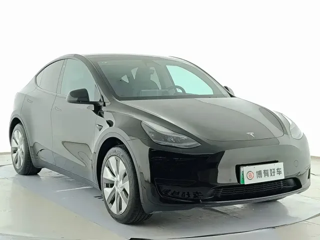 Tesla Model Y — Фото автомобиля 3