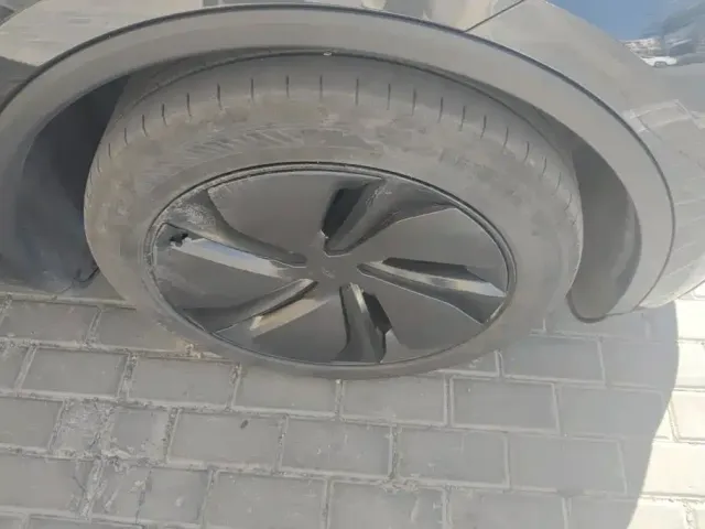 Tesla Model Y — Фото автомобиля 6