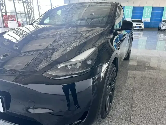 Tesla Model Y — Фото автомобиля 10