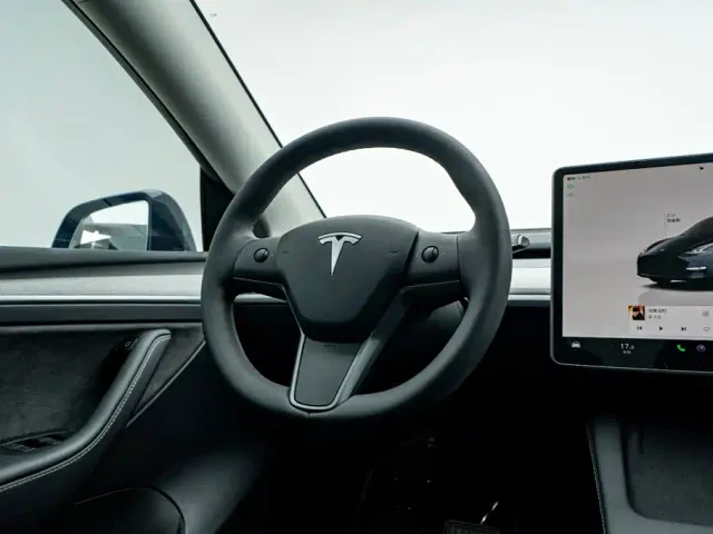 Tesla Model Y — Фото автомобиля 22
