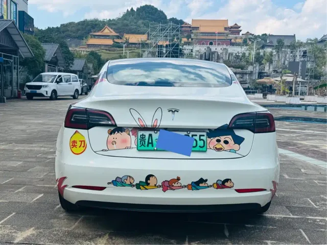 Tesla Model 3 — Фото автомобиля 4