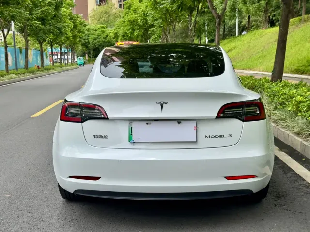 Tesla Model 3 2022 Model Rear-Wheel Drive Version — Фото автомобиля 8