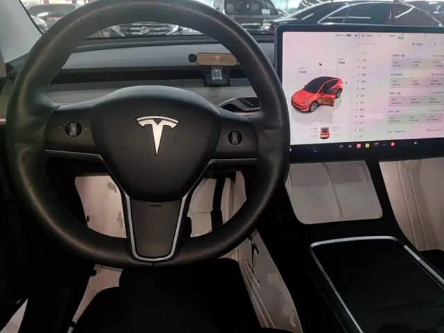 Tesla Model Y — Фото автомобиля 9