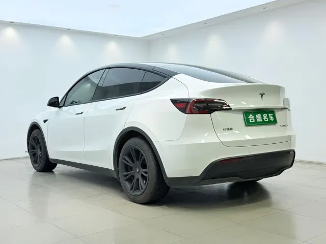 Tesla Model Y — Фото автомобиля 12