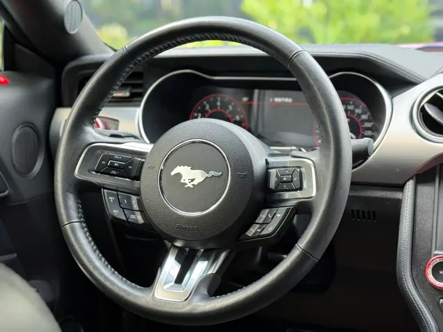 Ford Mustang — Фото автомобиля 10