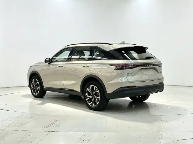 Haval Xiaolong MAX — Фото автомобиля 8