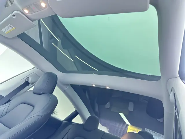 Tesla Model 3 2021 Facelift Standard Range RWD Upgrade 3D1 — Фото автомобиля 18
