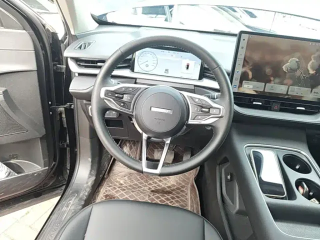 Haval Haval H6 2024 1.5T 2WD Max — Фото автомобиля 10
