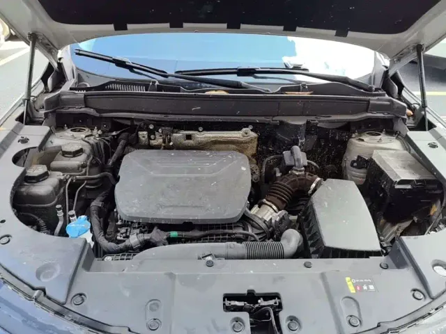 Haval Xiaolong MAX — Фото автомобиля 19