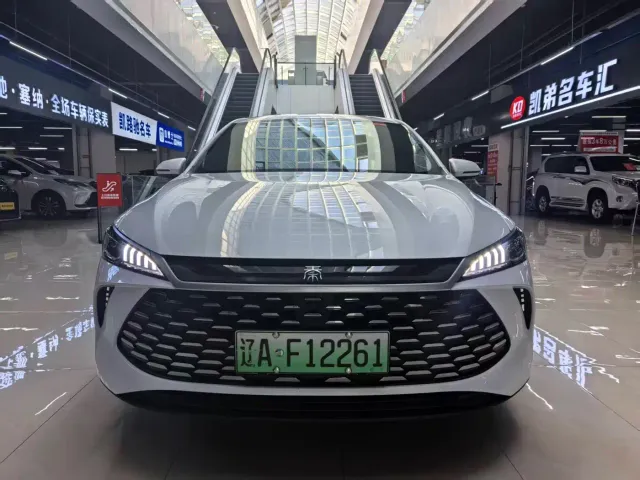 BYD Qin PLUS — Фото автомобиля 2