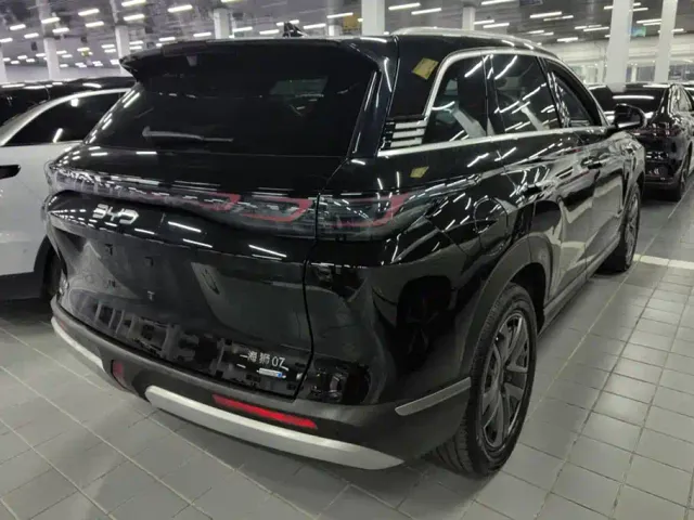 BYD Hai Shi 07 DM-i — Фото автомобиля 3