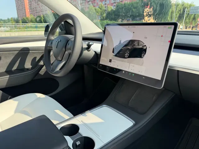 Tesla Model Y — Фото автомобиля 10