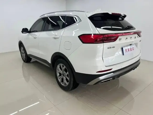 Haval Haval H6 2021 Model National Trend Edition 1.5T Auto Champion — Фото автомобиля 6