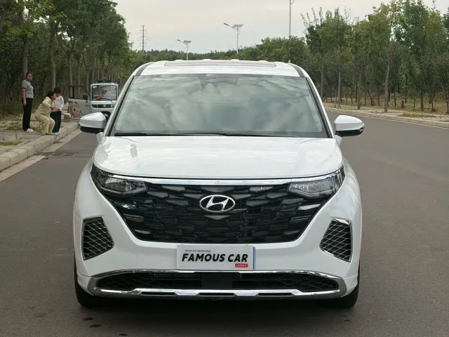 Hyundai Custo — Фото автомобиля 2