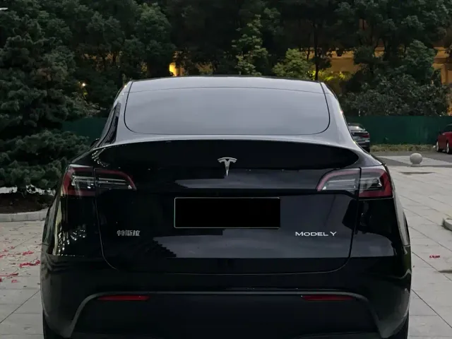 Tesla Model Y — Фото автомобиля 7