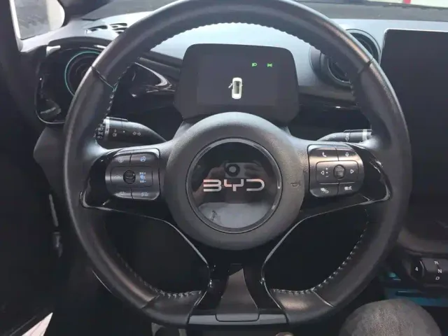 BYD Dolphin — Фото автомобиля 15