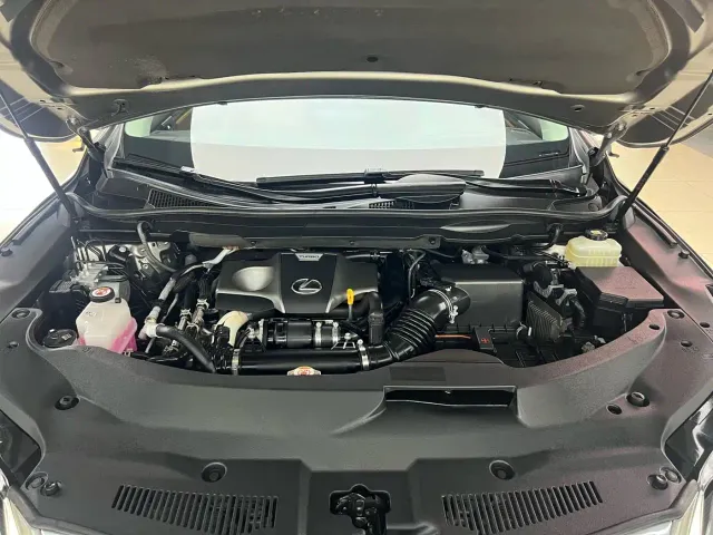 Lexus RX — Фото автомобиля 27