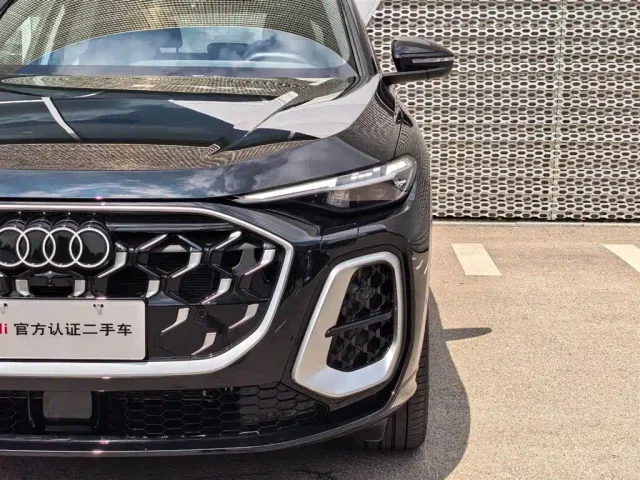 Audi Q5L — Фото автомобиля 8