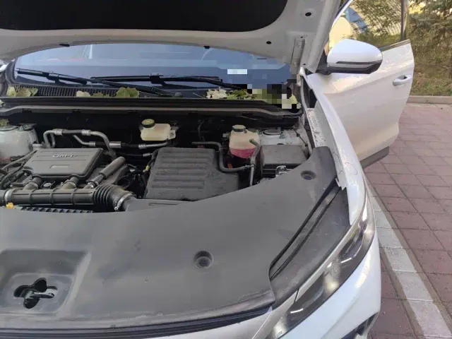 BYD Song Pro — Фото автомобиля 22