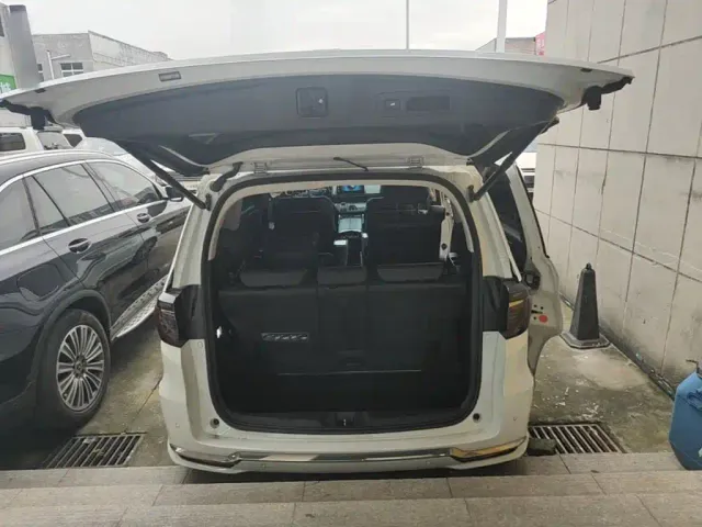 Honda Elysion — Фото автомобиля 18