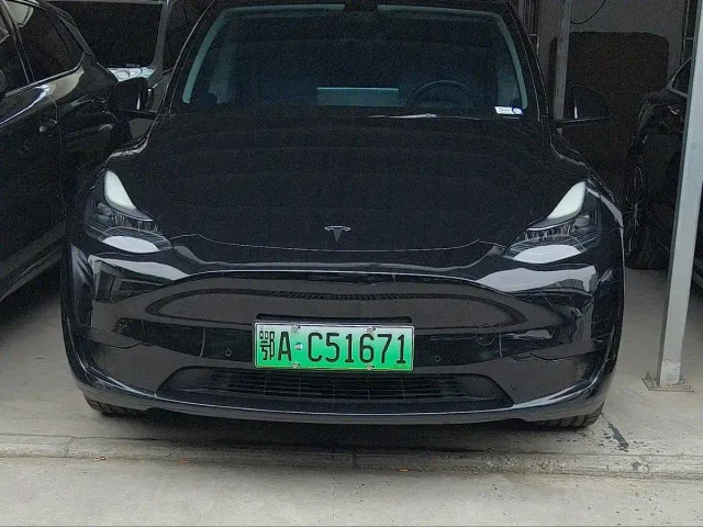 Tesla Model Y — Фото автомобиля 2