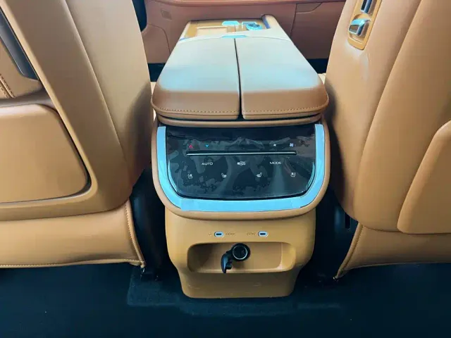 Wey Lanshan — Фото автомобиля 9