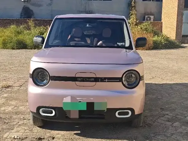 Geely Panda — Фото автомобиля 2