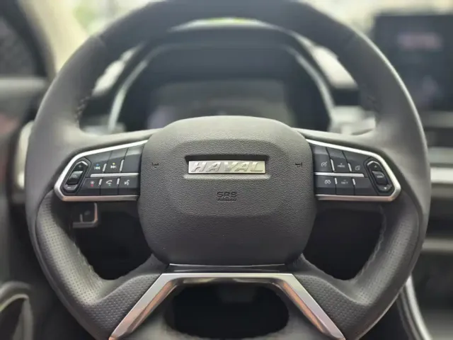 Haval Haval H6 2021 Model National Trend Edition 1.5T Auto Champion — Фото автомобиля 16