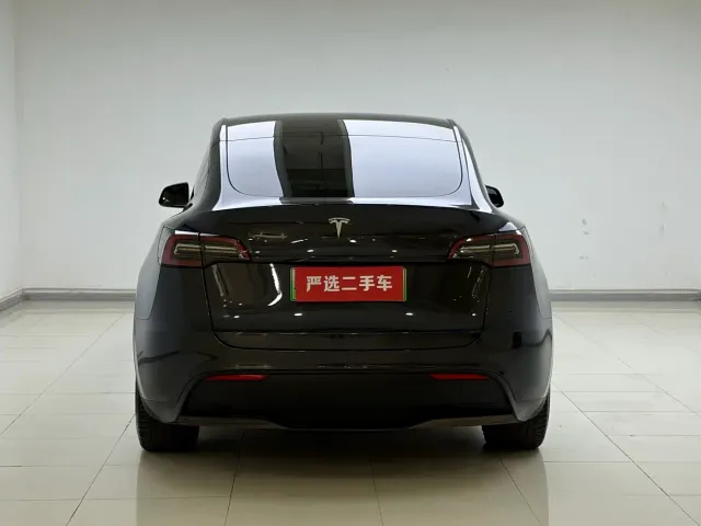 Tesla Model Y — Фото автомобиля 15