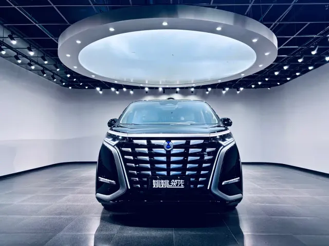 Denza D9 — Фото автомобиля 2