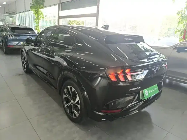 Ford Mustang Mach-E — Фото автомобиля 4
