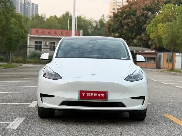 Tesla Model Y — Фото автомобиля 2