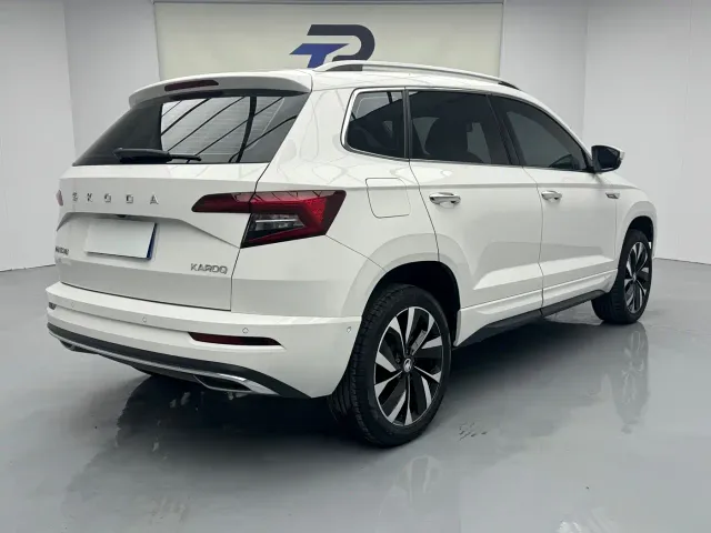 Skoda Karoq — Фото автомобиля 17