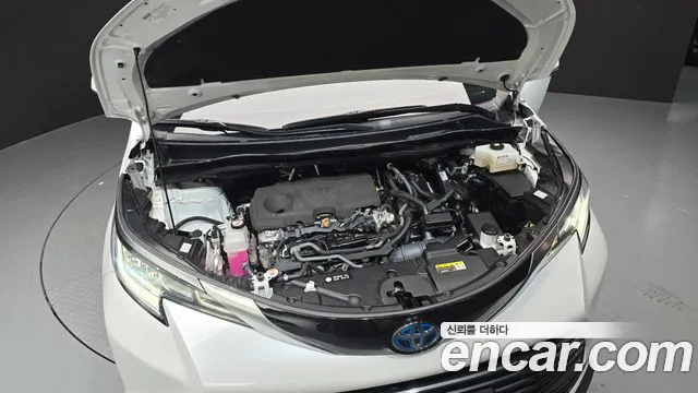 Toyota Sienna — Фото автомобиля 6