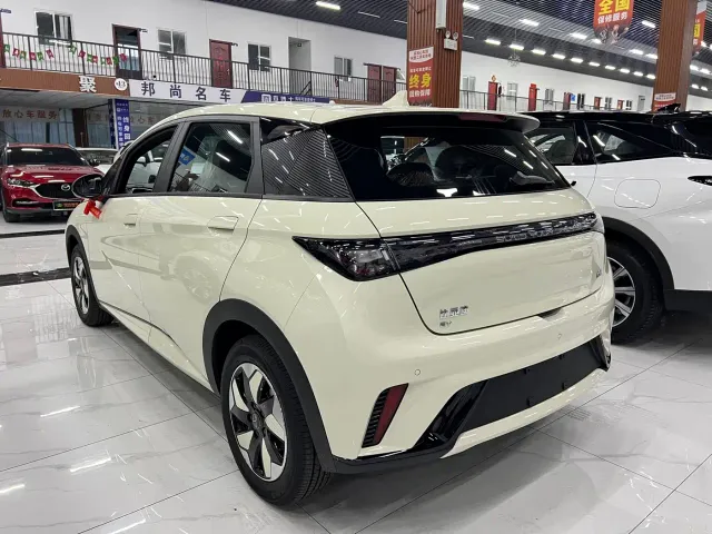 BYD Dolphin — Фото автомобиля 3