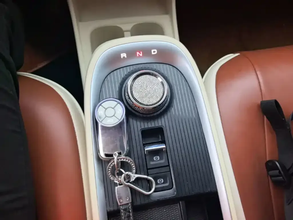 Ora Ora Good Cat 2021 400km Standard Range Athena Edition (LFP) — Фото автомобиля 13