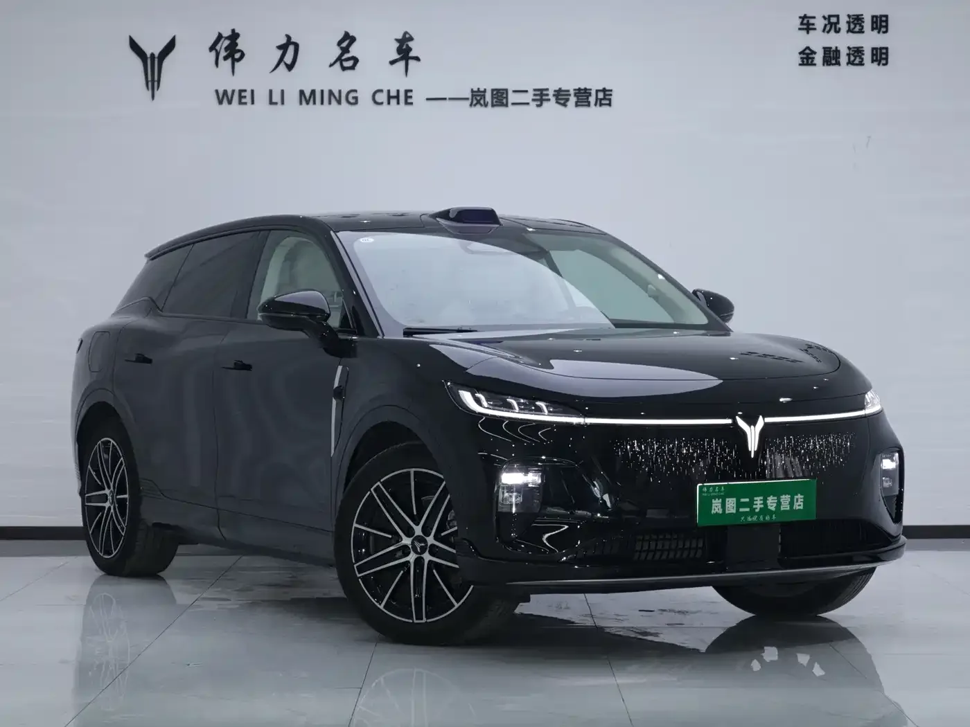 Voyah Auto Voyah Zhiyin 2025 Base — Фото автомобиля 3