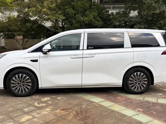 BYD Xia — Фото автомобиля 7