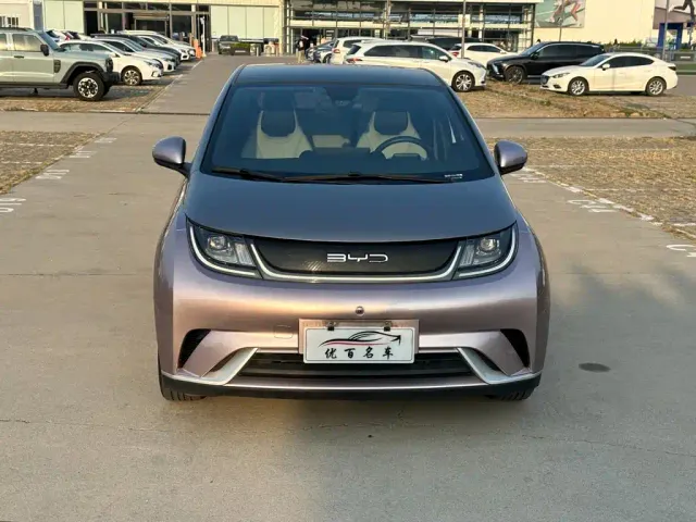 BYD Dolphin — Фото автомобиля 2