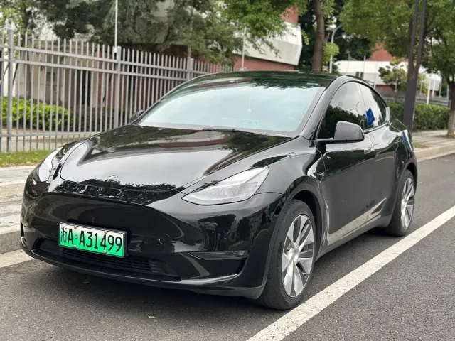 Tesla Model Y — Фото автомобиля 3