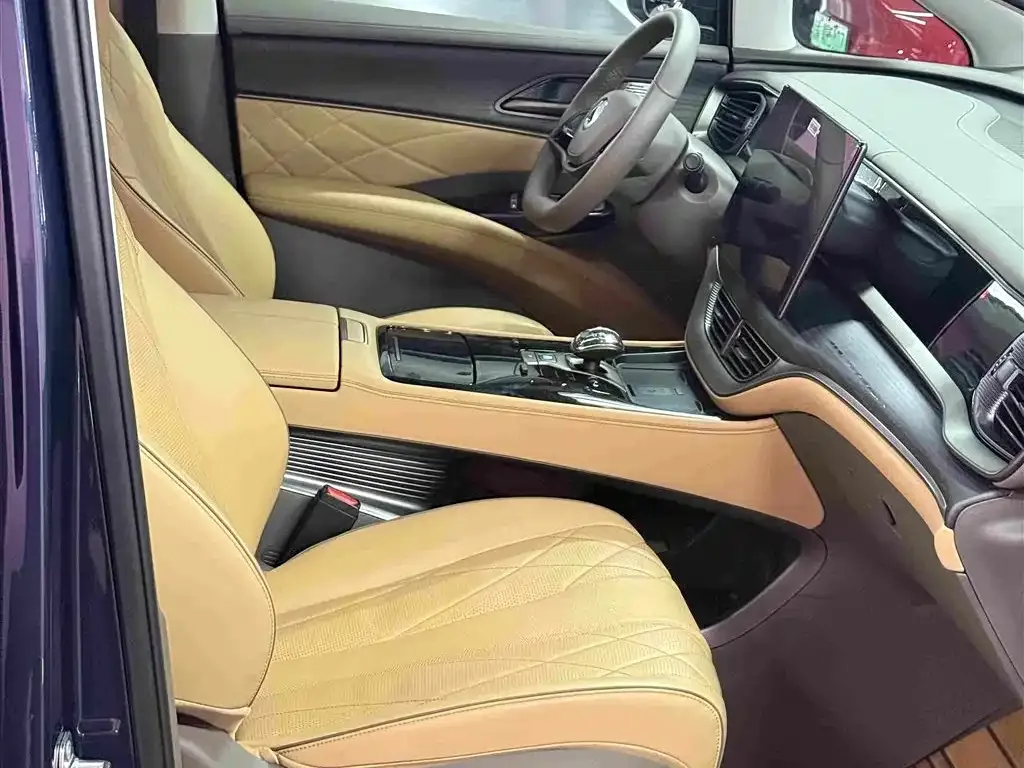 Denza Denza D9 2022 DM-i 970 All-Wheel Drive Honor Edition — Фото автомобиля 20
