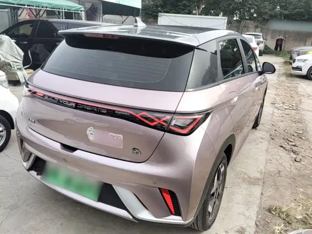 BYD Dolphin — Фото автомобиля 6