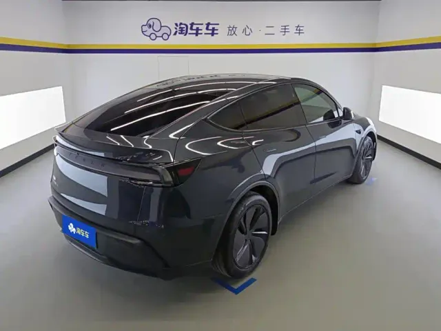 Tesla Model Y — Фото автомобиля 3