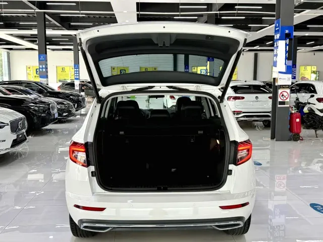 Skoda Karoq — Фото автомобиля 13