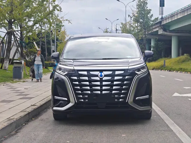 Denza D9 — Фото автомобиля 3