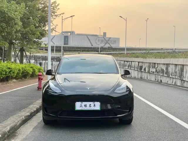 Tesla Model Y — Фото автомобиля 2