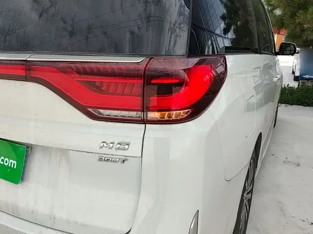 GAC Trumpchi M8 — Фото автомобиля 7